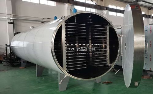 大型食品凍干機交付廣西，賦能果蔬凍干深加工技術升級