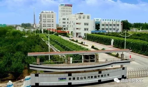 聚酯公司榮膺自治區(qū)綠色工廠稱號 以技術引領，鑄就綠色可持續(xù)發(fā)展新標桿